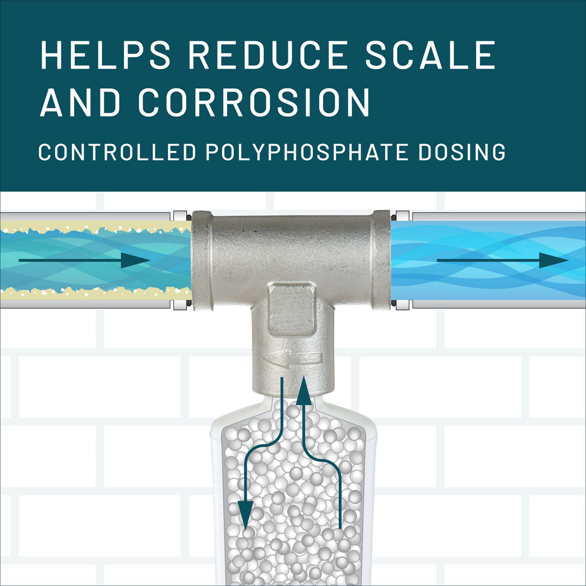 Aqua-Pure™ AP430SS Scale Inhibitor System (AP43011)
